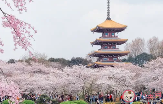 2021清明節湖北旅游去哪好 武漢清明節旅游地點推薦