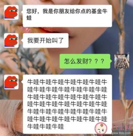 基金牛蛙在哪點(diǎn) 基金牛蛙是什么梗