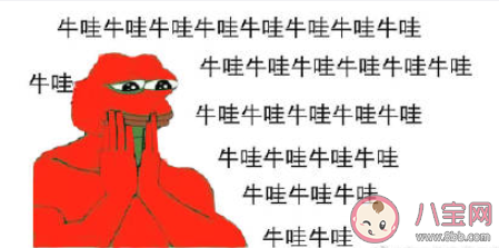 基金牛蛙什么梗 基金牛蛙為什么火了 基金牛蛙什么梗 基金牛蛙為什么火了