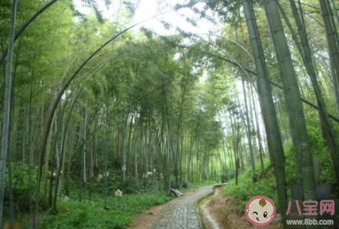 旅行真的能使人改變嗎 去旅游有哪些好處 旅行真的能使人改變嗎 去旅游有哪些好處