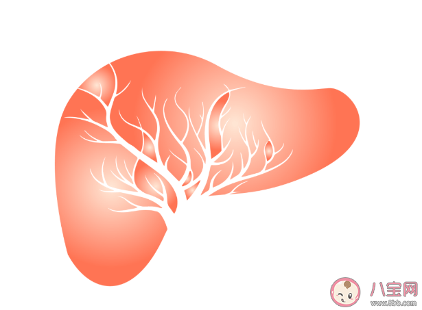 乙肝病毒會自行清除嗎 乙肝病毒攜帶者和乙肝大三陽有什么什么區別 乙肝病毒會自行清除嗎 乙肝病毒攜帶者和乙肝大三陽有什么什么區別