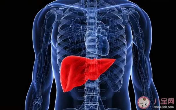 乙肝病毒會自行清除嗎 乙肝病毒攜帶者和乙肝大三陽有什么什么區別 乙肝病毒會自行清除嗎 乙肝病毒攜帶者和乙肝大三陽有什么什么區別