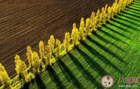 春天郊游踏青的說說句子 春天出游的好心情句子