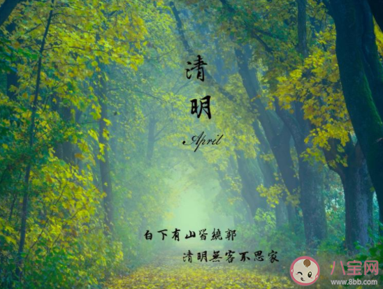 2021幼兒園小班清明節活動策劃方案三篇 2021幼兒園小班清明節活動教案美篇大全