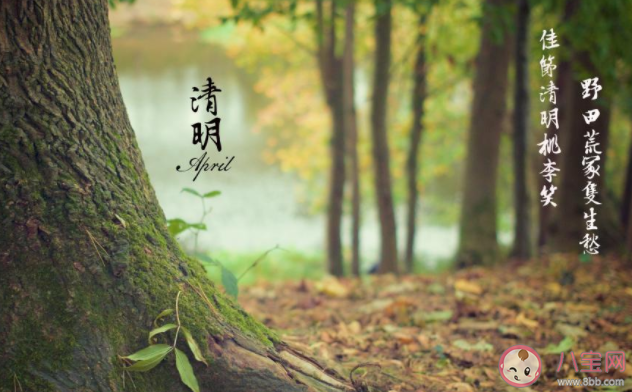 2021幼兒園小班清明節活動策劃方案三篇 2021幼兒園小班清明節活動教案美篇大全