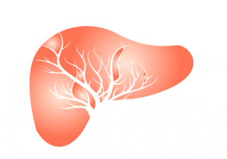 乙肝病毒會自行清除嗎 乙肝病毒攜帶者和乙肝大三陽有什么什么區別