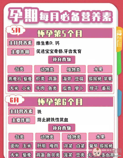 孕期怎么吃生一個(gè)皮膚白嫩的漂亮寶寶 孕期1-10月怎么吃比較好