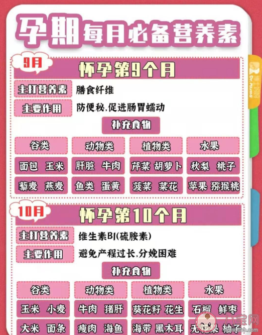 孕期怎么吃生一個(gè)皮膚白嫩的漂亮寶寶 孕期1-10月怎么吃比較好