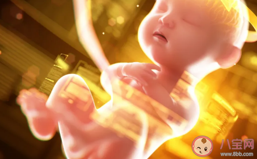 園丁式的父母應該怎么做 園丁式教育的正確方法 園丁式的父母應該怎么做 園丁式教育的正確方法