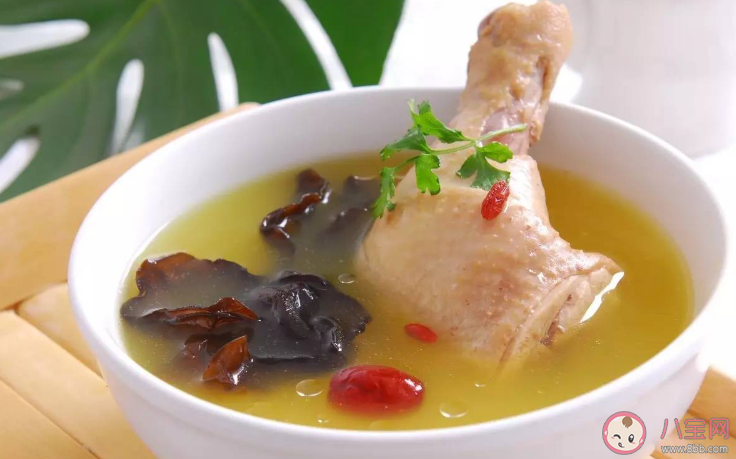 產后促進乳汁是吃公雞還是母雞 坐月子燉雞湯選什么樣的雞營養好 產后促進乳汁是吃公雞還是母雞 坐月子燉雞湯選什么樣的雞營養好