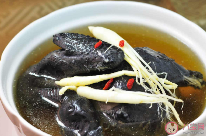 產后促進乳汁是吃公雞還是母雞 坐月子燉雞湯選什么樣的雞營養好 產后促進乳汁是吃公雞還是母雞 坐月子燉雞湯選什么樣的雞營養好