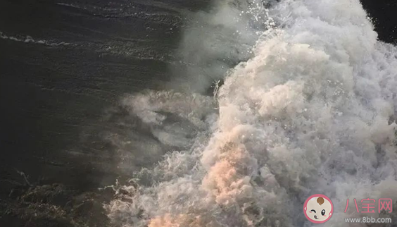 適合愚人節表白的文案句子 愚人節告白的情話句子 適合愚人節表白的文案句子 愚人節告白的情話句子