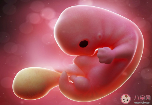 胎停育確診還有必要保胎嗎 胎停育5類高危人群 胎停育確診還有必要保胎嗎 胎停育5類高危人群