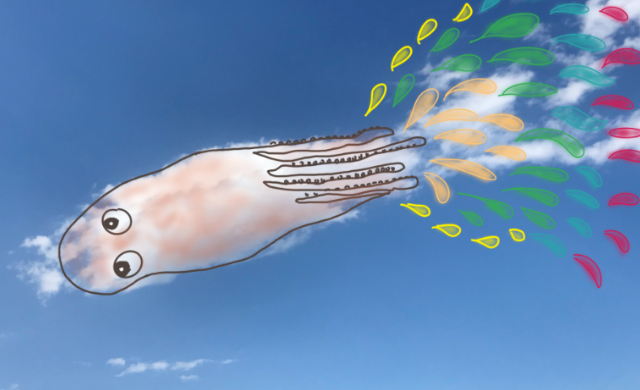 姑娘堅持590天每天畫一朵云怎么回事 畫的云圖案大全