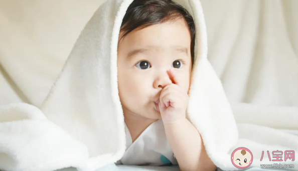 寶寶喜歡吃手應(yīng)該阻攔嗎 過度吃手家長應(yīng)該怎么做