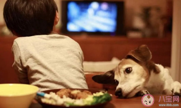 這些家庭易養(yǎng)出專注力差的孩子 專注力差怎么辦