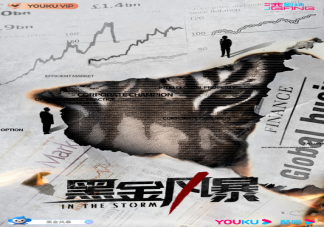 《黑金風暴》TVB拍的嗎 《黑金風暴》是合拍劇嗎