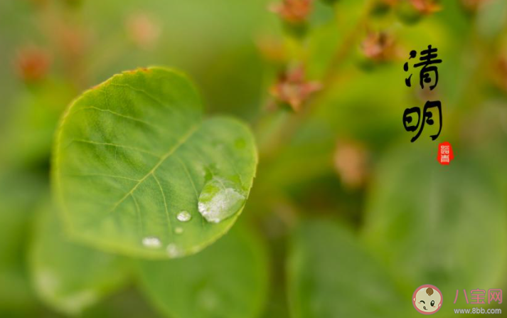 清明節的兒童小故事有哪些 適合清明節講給孩子的故事大全