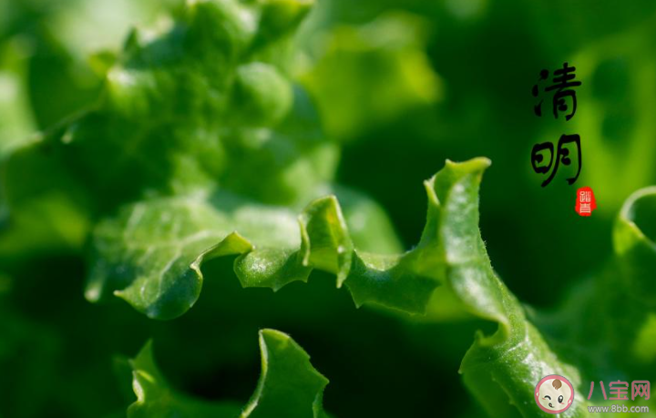 清明節的兒童小故事有哪些 適合清明節講給孩子的故事大全