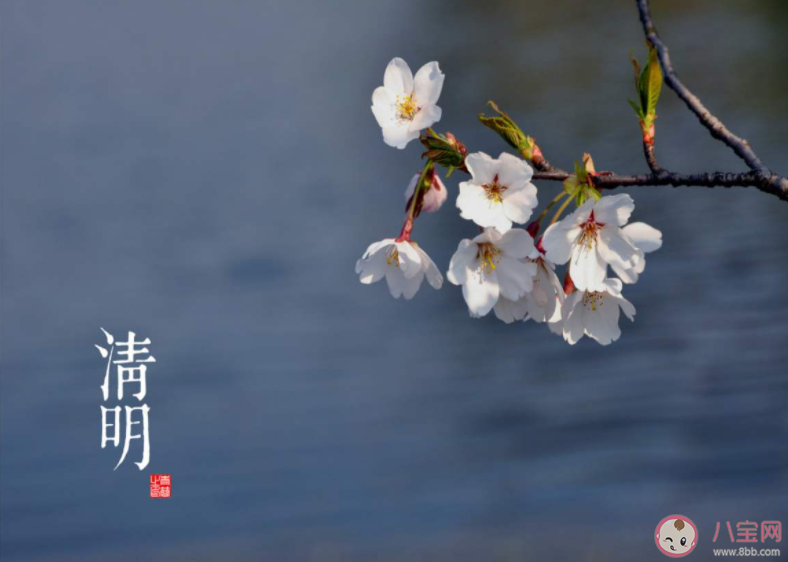 清明節養生吃什么食物好 清明飲食養生要點