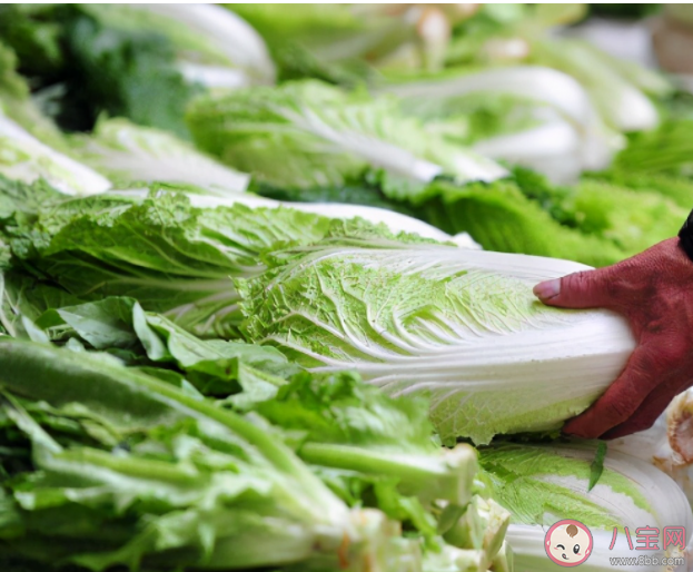 清明節養生吃什么食物好 清明飲食養生要點