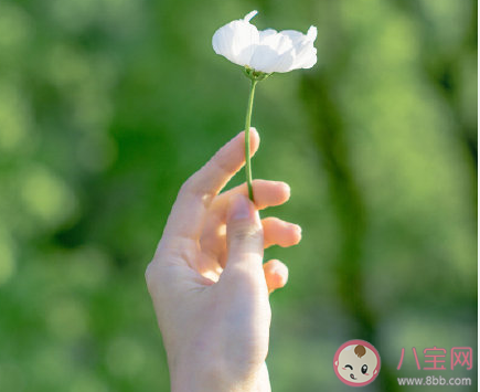 2021節(jié)后開工第一天說說句子 節(jié)后第一天的心情說說