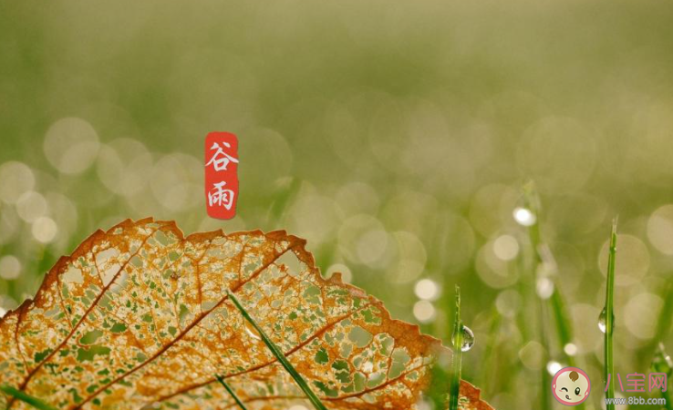 2021谷雨節(jié)氣圖片祝福語句子大全 2021谷雨文案祝福語圖片說說