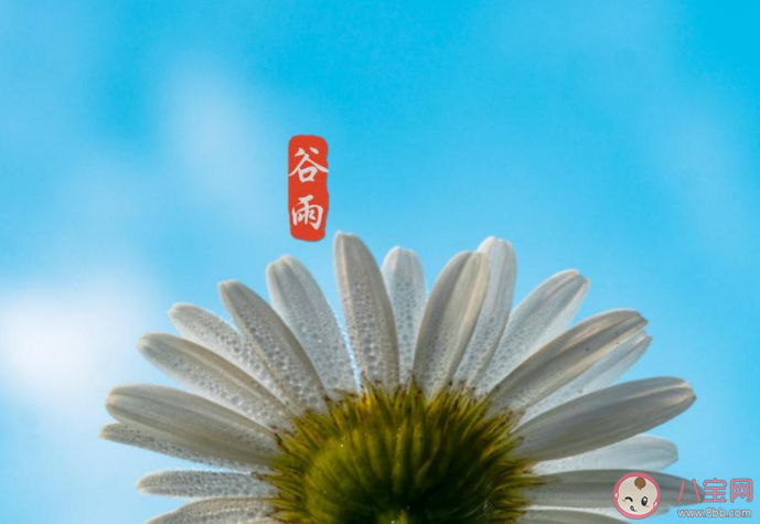 2021谷雨節(jié)氣圖片祝福語句子大全 2021谷雨文案祝福語圖片說說