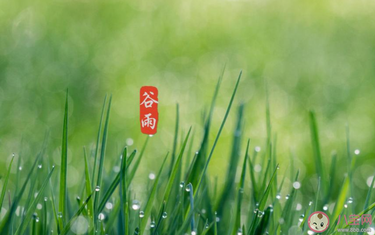 2021谷雨節(jié)氣圖片祝福語句子大全 2021谷雨文案祝福語圖片說說