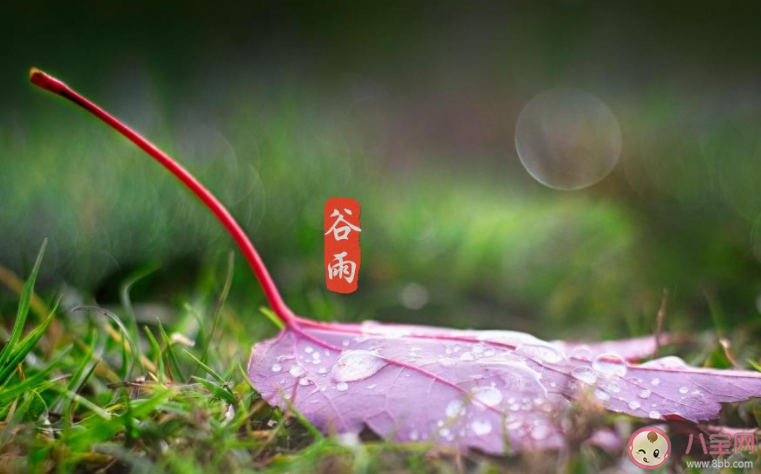 2021谷雨節(jié)氣圖片祝福語句子大全 2021谷雨文案祝福語圖片說說