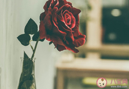 節后開工第一天正能量文案 節后第一天加油說說