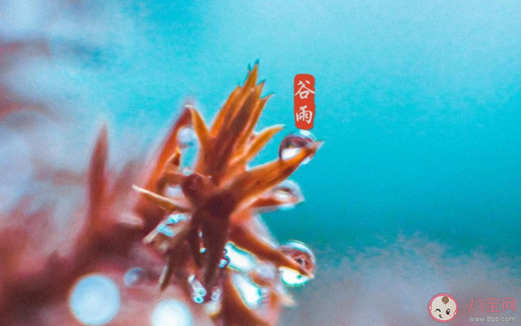 2021谷雨早安心語正能量文案說說 2021谷雨節氣問好早安說說朋友圈 2021谷雨早安心語正能量文案說說 2021谷雨節氣問好早安說說朋友圈