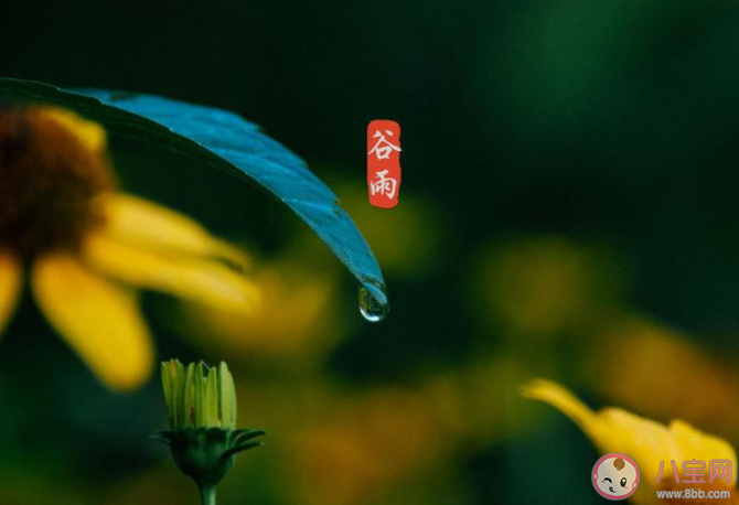 2021谷雨早安心語正能量文案說說 2021谷雨節氣問好早安說說朋友圈 2021谷雨早安心語正能量文案說說 2021谷雨節氣問好早安說說朋友圈