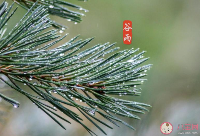 2021谷雨早安心語正能量文案說說 2021谷雨節氣問好早安說說朋友圈 2021谷雨早安心語正能量文案說說 2021谷雨節氣問好早安說說朋友圈