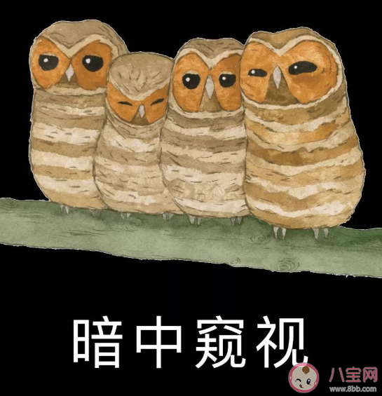 好怪哦再看一眼是什么意思 好怪哦再看一眼梗出處來源