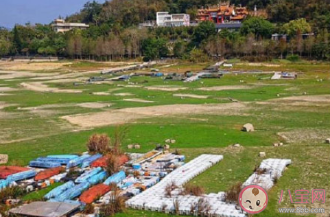 日月潭潭底干枯成塊狀是怎么回事 日月潭為什么枯了 日月潭潭底干枯成塊狀是怎么回事 日月潭為什么枯了