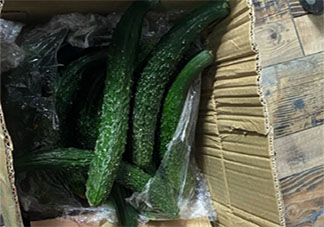 黃瓜對(duì)減肥有幫助嗎 黃瓜有沒(méi)有減肥的效果