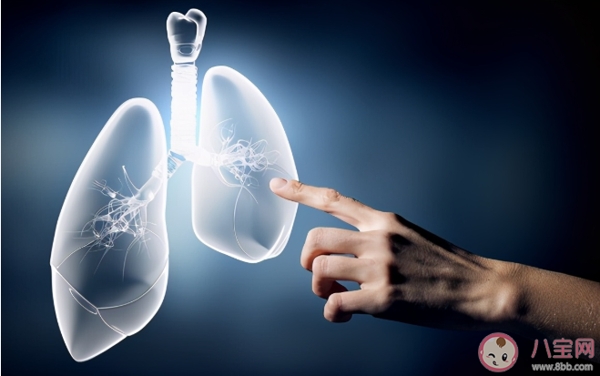 塵肺病到底有多嚴重 塵肺病如何預防 塵肺病到底有多嚴重 塵肺病如何預防