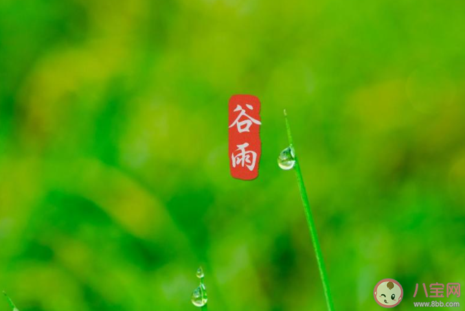 2021谷雨節氣一句話問候語說說 2021谷雨到了的祝福語朋友圈