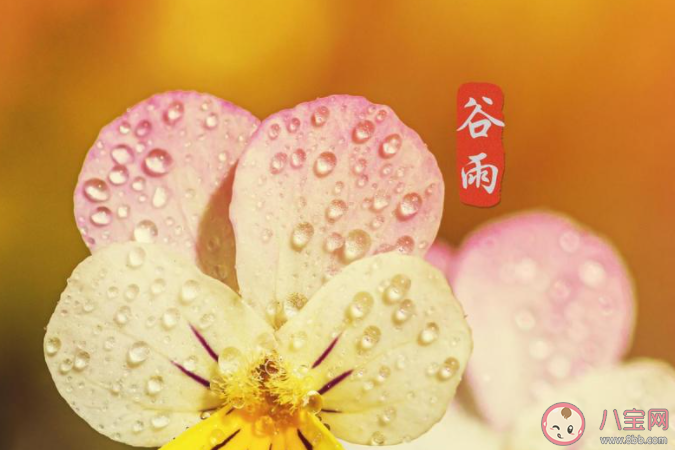 2021谷雨節氣一句話問候語說說 2021谷雨到了的祝福語朋友圈