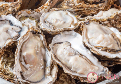 備孕爸爸吃韭菜生蠔有用嗎 吃什么食物最有用