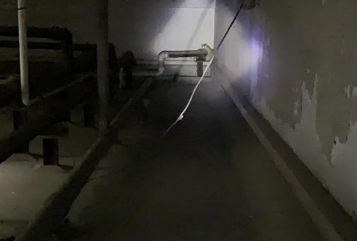 職業尋寵人是什么職業 職業尋寵人工作是怎樣的