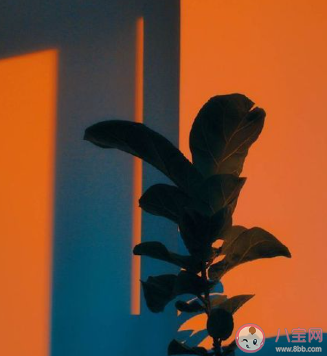 2021年第100天的心情說說 2021年第100天的感言句子