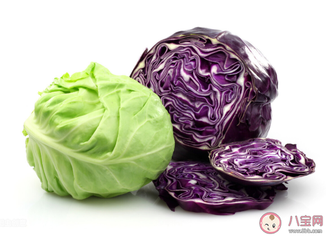 傷胃的食物有哪些 吃哪些食物養(yǎng)胃