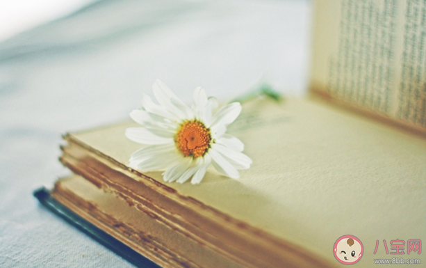 有哪些情感治愈系文案句子 高質(zhì)量情感治愈系走心的句子 有哪些情感治愈系文案句子 高質(zhì)量情感治愈系走心的句子