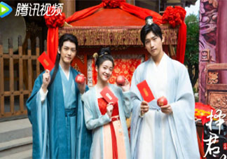 《擇君記》原著小說是什么 《擇君記》劇情演員簡介