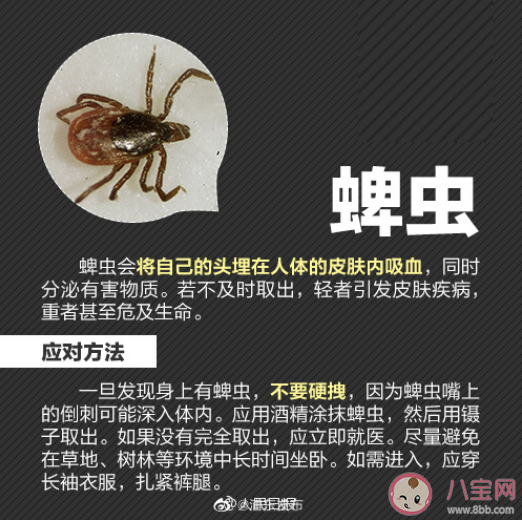 被蜱蟲叮咬就有致命危險嗎 被蜱蟲咬傷后有什么癥狀表現