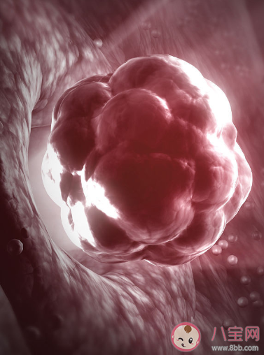 白帶沒(méi)有出現(xiàn)拉絲是不排卵嗎 白帶拉絲多久就會(huì)排卵