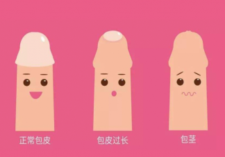 男孩包皮多長算正常 如何定義包皮過長