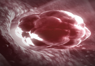 白帶沒有出現(xiàn)拉絲是不排卵嗎 白帶拉絲多久就會排卵